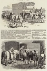 Doncaster-Rennen, 1849